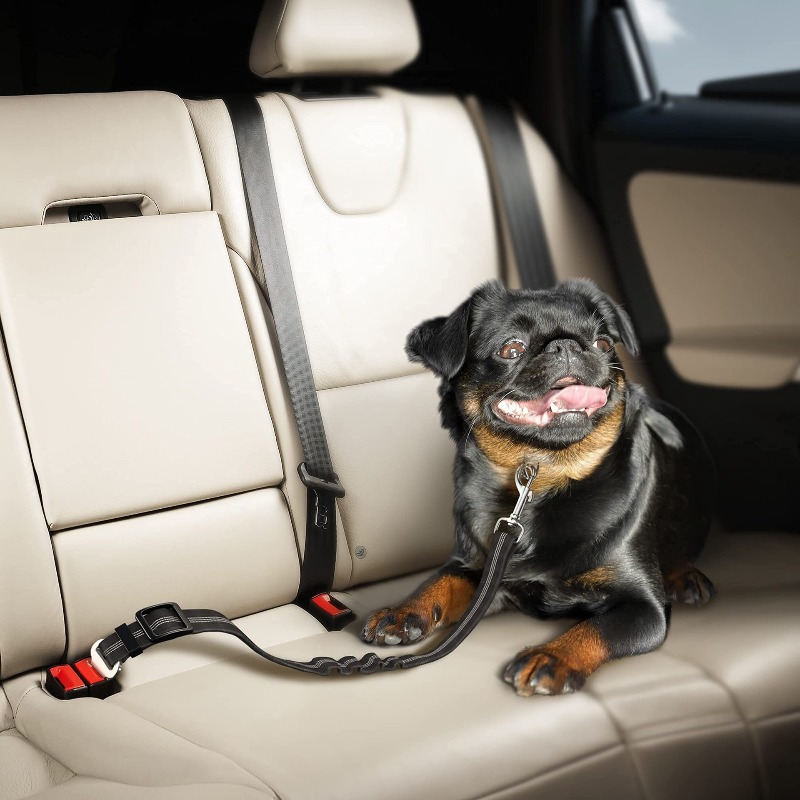 Arnés Retráctil para Perro en  - Snap Fastener Set reseña y precio